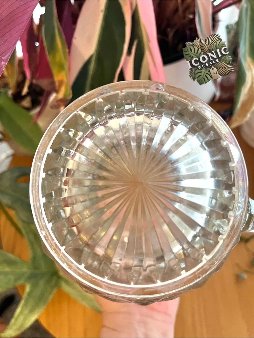 Fostoria elegant clear